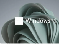 微软面向Dev通道的Insider会员推送Windows11新预览版