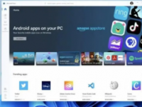 Windows11安卓子系统的内存占用比较高