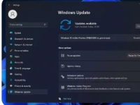微软面向Dev通道的Insider会员推送Windows11新预览版