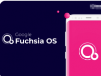 FuchsiaOS仍处于没有公开的状态