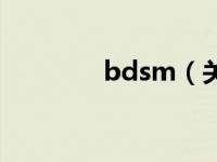 bdsm（关于bdsm的介绍）