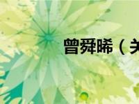 曾舜晞（关于曾舜晞的介绍）