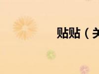 贴贴（关于贴贴的介绍）