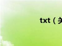 txt（关于txt的介绍）