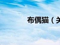 布偶猫（关于布偶猫的介绍）
