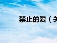 禁止的爱（关于禁止的爱的介绍）