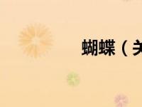 蝴蝶（关于蝴蝶的介绍）