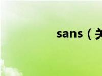 sans（关于sans的介绍）