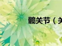髋关节（关于髋关节的介绍）