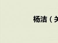 杨洁（关于杨洁的介绍）