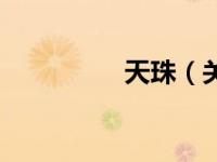 天珠（关于天珠的介绍）