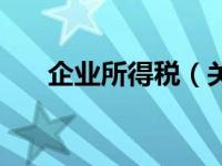 企业所得税（关于企业所得税的介绍）