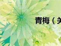 青梅（关于青梅的介绍）