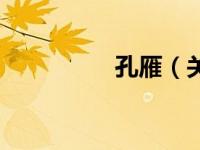 孔雁（关于孔雁的介绍）