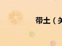 带土（关于带土的介绍）