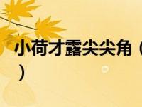 小荷才露尖尖角（关于小荷才露尖尖角的介绍）