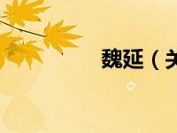 魏延（关于魏延的介绍）