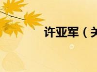 许亚军（关于许亚军的介绍）