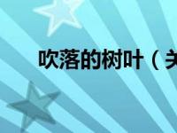 吹落的树叶（关于吹落的树叶的介绍）
