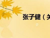 张子健（关于张子健的介绍）