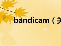 bandicam（关于bandicam的介绍）