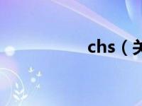 chs（关于chs的介绍）