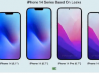 对于iPhone14而言四款机型销售上还是出现了非常大的差别