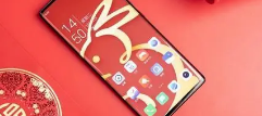 努比亚Z50还专门推出了一款中国红兔年限定版