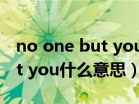 no one but you是表达爱意吗（no one but you什么意思）