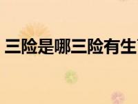 三险是哪三险有生育津贴吗（三险是哪三险）