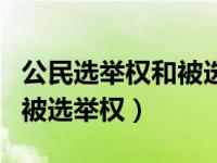 公民选举权和被选举权的年龄（公民选举权和被选举权）