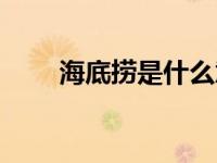 海底捞是什么意思（海底捞是什么）