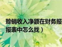 赊销收入净额在财务报表中怎么找到（赊销收入净额在财务报表中怎么找）