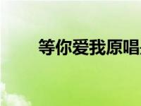 等你爱我原唱是谁（等你爱我原唱）