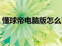 懂球帝电脑版怎么下载（懂球帝电脑版下载）