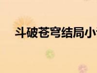 斗破苍穹结局小说结局（斗破苍穹结局）