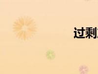 过剩产能（过剩）
