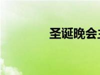 圣诞晚会主持文稿的开场白