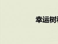 幸运树和发财树的区别
