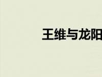王维与龙阳君的爱情故事典故。