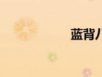 蓝背八色鸫（蓝背）