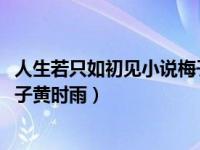 人生若只如初见小说梅子黄时雨txt（人生若只如初见小说梅子黄时雨）