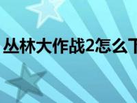 丛林大作战2怎么下载（丛林大作战2电脑版）