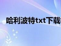 哈利波特txt下载微盘（哈利波特txt下载）