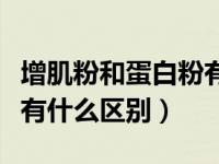 增肌粉和蛋白粉有什么区别（增肌粉和蛋白粉有什么区别）