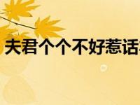 夫君个个不好惹话本小说（夫君个个不好惹）