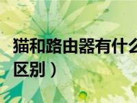 猫和路由器有什么不一样（猫和路由器有什么区别）