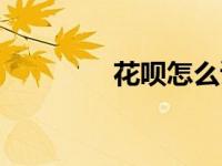 花呗怎么读（花呗怎么读）