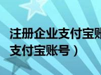 注册企业支付宝账号需要什么条件（注册企业支付宝账号）