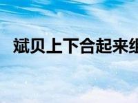 斌贝上下合起来组成什么字（斌贝念什么）